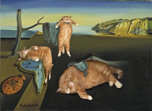 dali-the-persistence-of-memory-cat